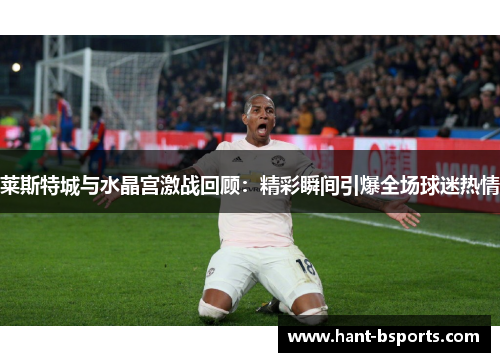 莱斯特城与水晶宫激战回顾:精彩瞬间引爆全场球迷热情 莱斯特城与水晶宫激战回顾:精彩瞬间引爆全场球迷热情
