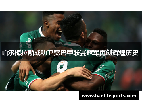 帕尔梅拉斯成功卫冕巴甲联赛冠军再创辉煌历史 