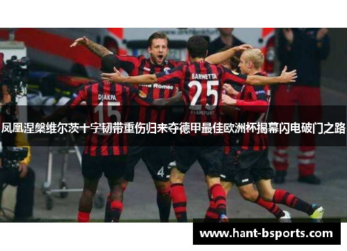 凤凰涅槃维尔茨十字韧带重伤归来夺德甲最佳欧洲杯揭幕闪电破门之路